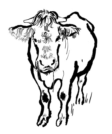 lucinda rogers book illustration jules renard histoires naturelles cow
