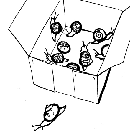 lucinda rogers book illustration jules renard histoires naturelles snails